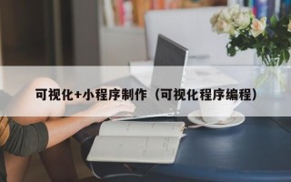 青海可视化+小程序制作（可视化程序编程）